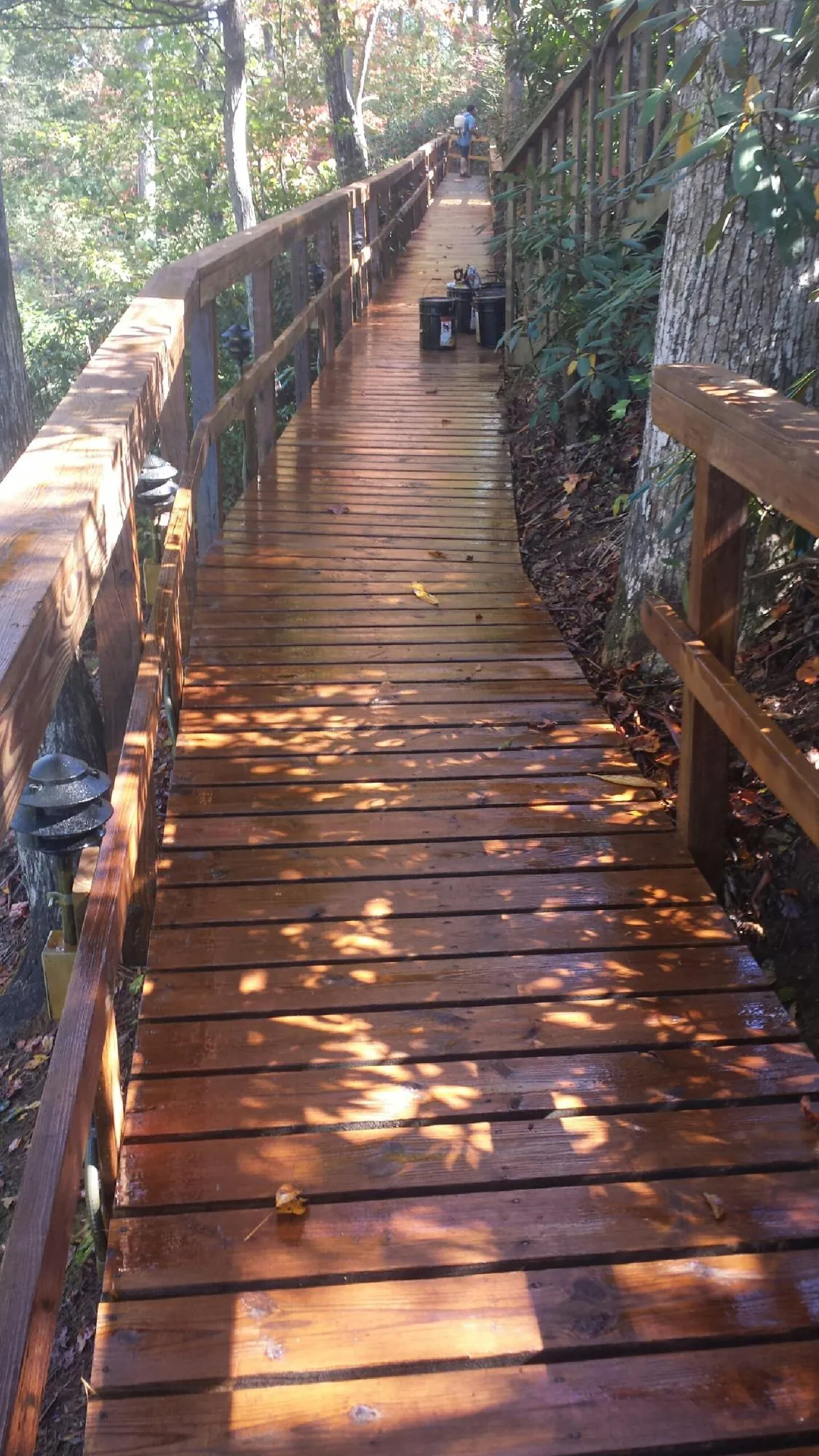 Freshly stained wood walkway winding through the woods in Osburn